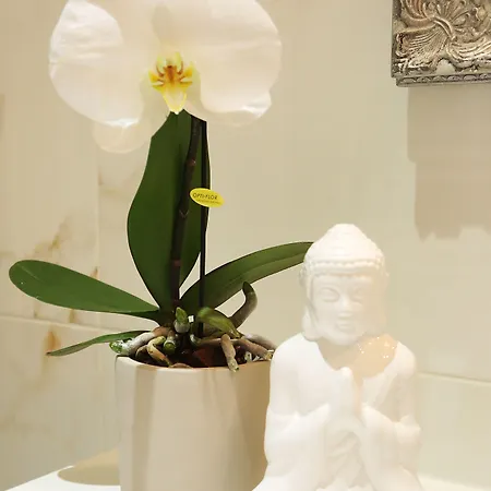 アパートホテル ビラ ミンカ リュブリャナ