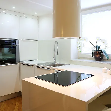 アパートホテル ビラ ミンカ 3* リュブリャナ