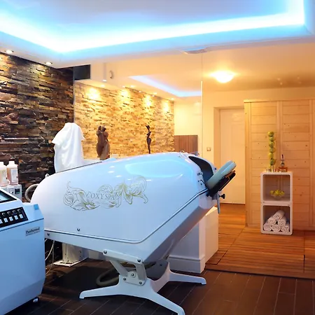 アパートホテル ビラ ミンカ 3* リュブリャナ