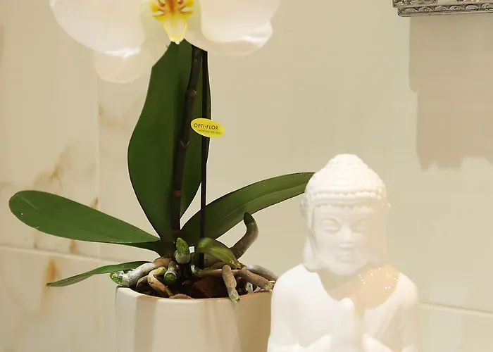 维拉明卡公寓式酒店 卢布尔雅那